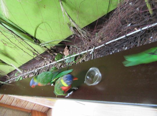 Gr I Wycieczka do Tuchlina