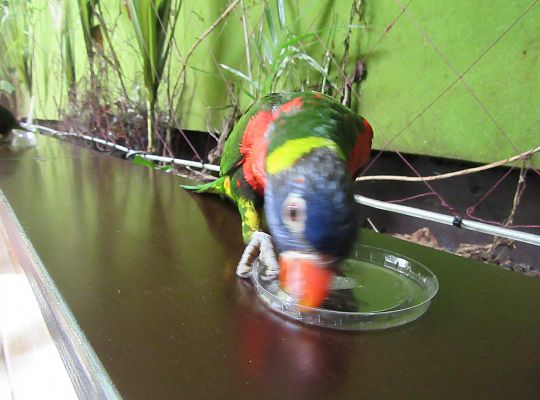 Gr I Wycieczka do Tuchlina