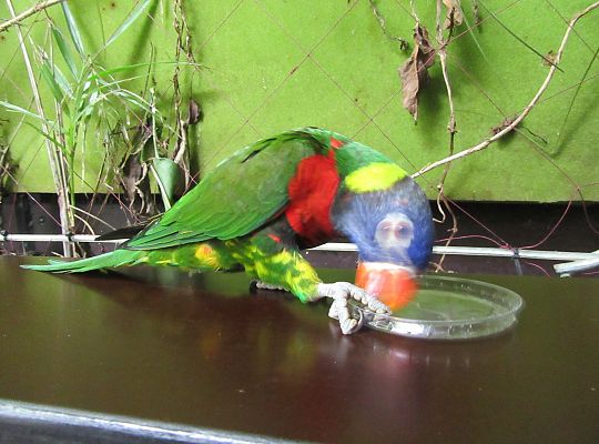 Gr I Wycieczka do Tuchlina