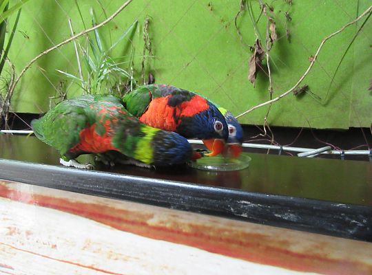 Gr I Wycieczka do Tuchlina