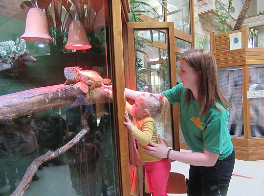 Gr I Wycieczka do Tuchlina