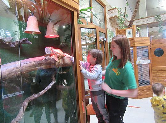 Gr I Wycieczka do Tuchlina