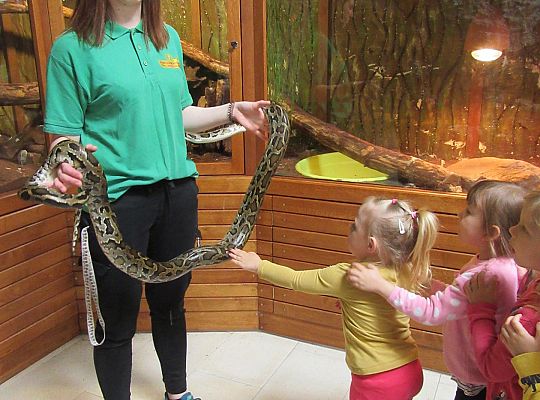 Gr I Wycieczka do Tuchlina