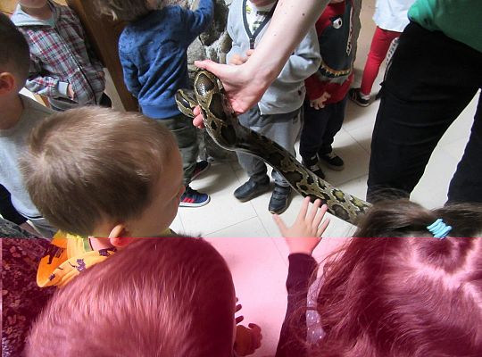 Gr I Wycieczka do Tuchlina