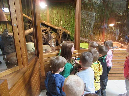 Gr I Wycieczka do Tuchlina