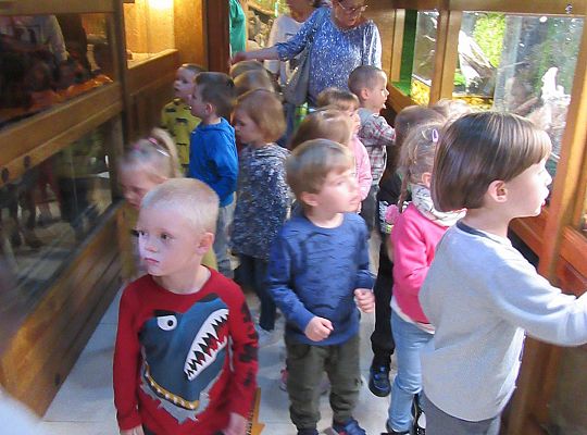 Gr I Wycieczka do Tuchlina