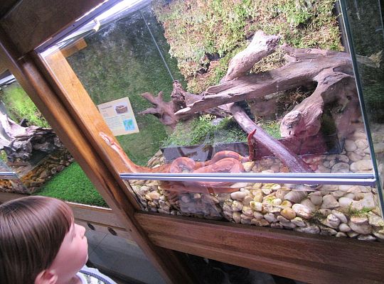 Gr I Wycieczka do Tuchlina