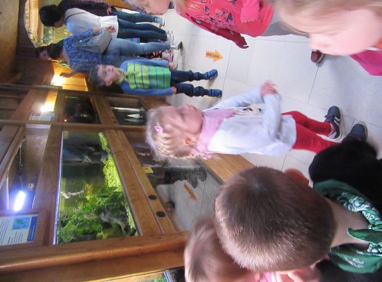 Gr I Wycieczka do Tuchlina