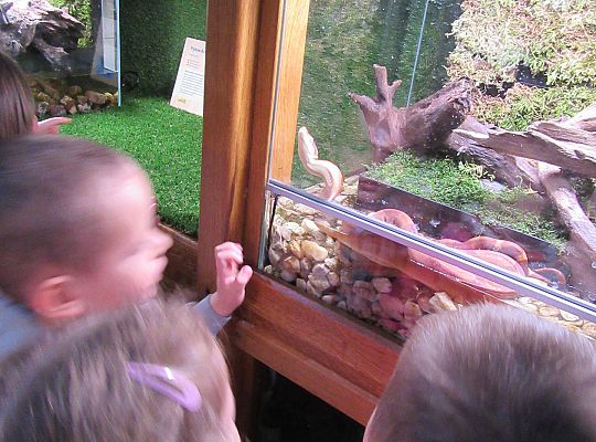 Gr I Wycieczka do Tuchlina