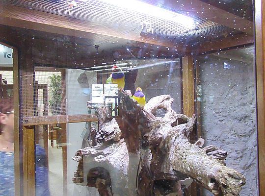 Gr I Wycieczka do Tuchlina