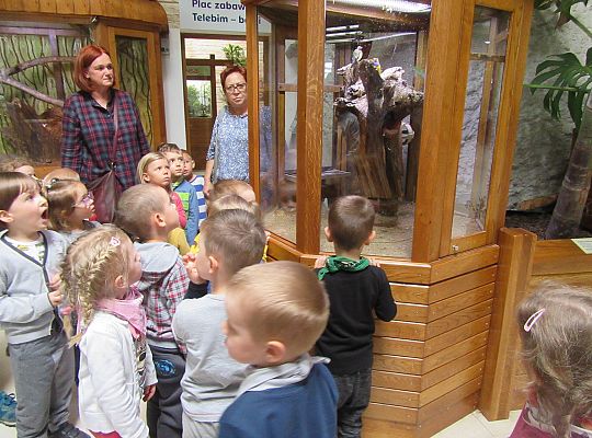 Gr I Wycieczka do Tuchlina