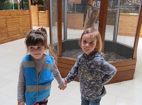 Gr I Wycieczka do Tuchlina