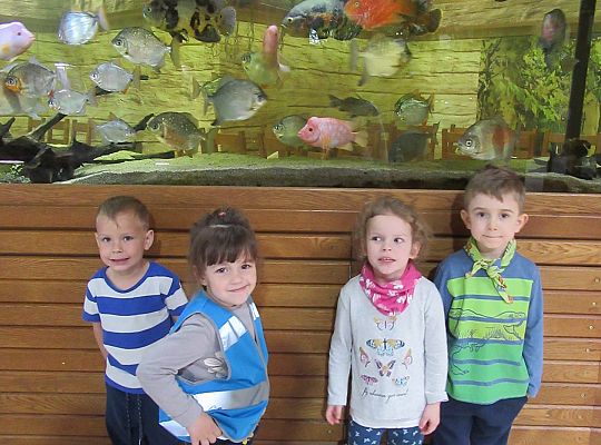 Gr I Wycieczka do Tuchlina