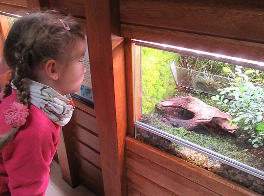 Gr I Wycieczka do Tuchlina