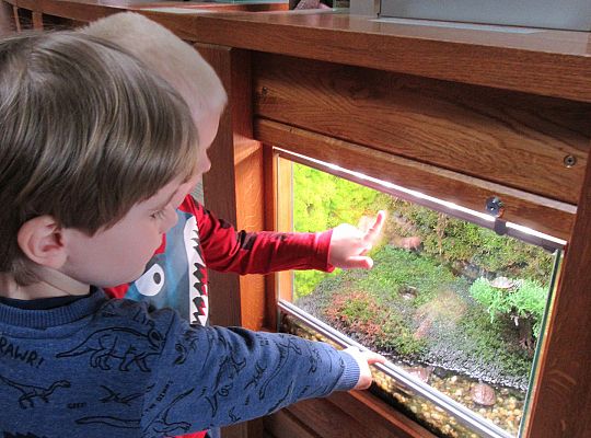 Gr I Wycieczka do Tuchlina