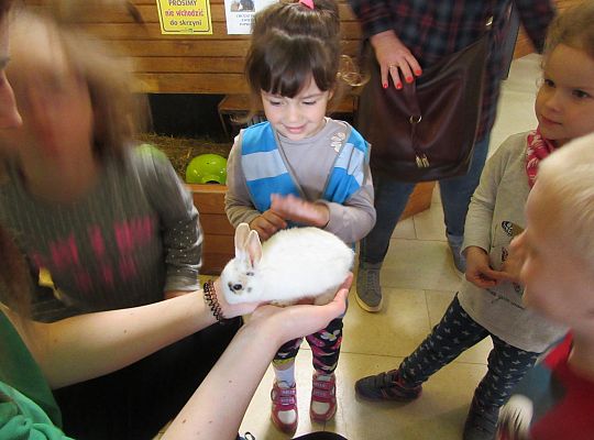 Gr I Wycieczka do Tuchlina