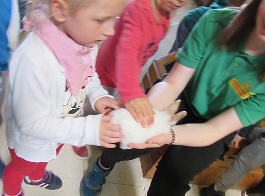 Gr I Wycieczka do Tuchlina