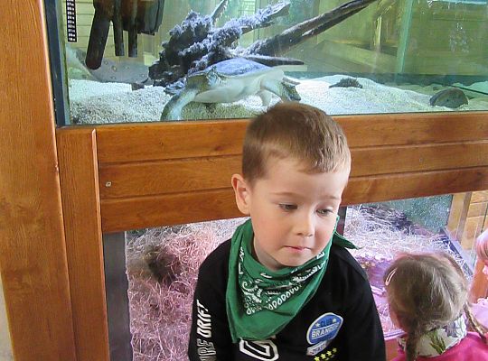 Gr I Wycieczka do Tuchlina