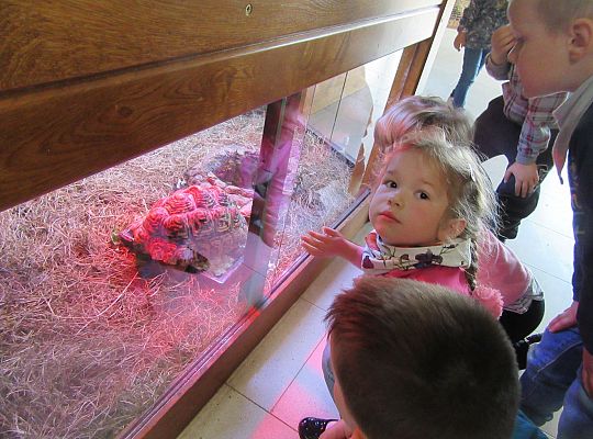 Gr I Wycieczka do Tuchlina