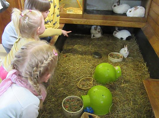 Gr I Wycieczka do Tuchlina