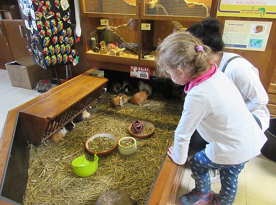 Gr I Wycieczka do Tuchlina