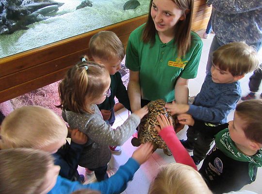 Gr I Wycieczka do Tuchlina