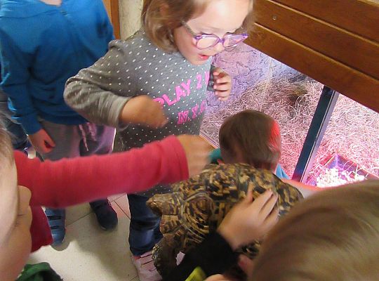 Gr I Wycieczka do Tuchlina