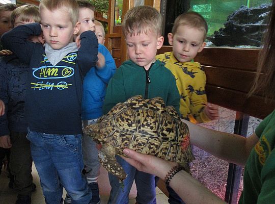 Gr I Wycieczka do Tuchlina