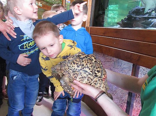 Gr I Wycieczka do Tuchlina