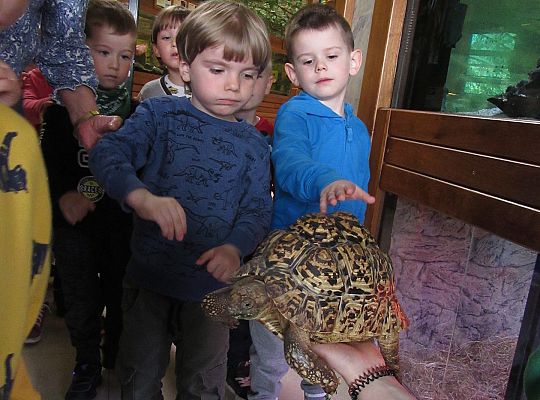 Gr I Wycieczka do Tuchlina