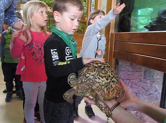 Gr I Wycieczka do Tuchlina