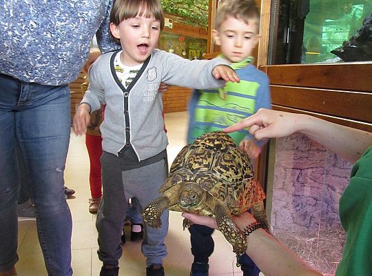 Gr I Wycieczka do Tuchlina