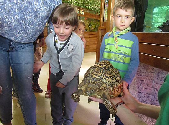 Gr I Wycieczka do Tuchlina