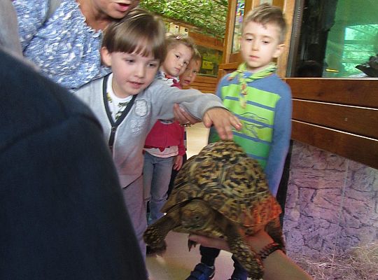 Gr I Wycieczka do Tuchlina