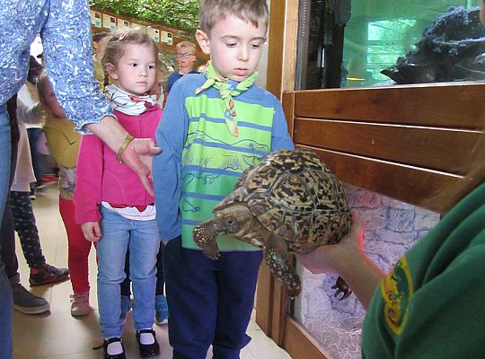 Gr I Wycieczka do Tuchlina