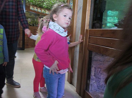 Gr I Wycieczka do Tuchlina