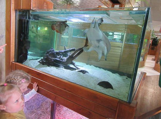 Gr I Wycieczka do Tuchlina