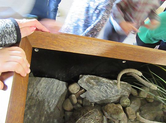 Gr I Wycieczka do Tuchlina