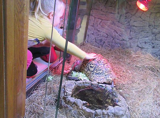 Gr I Wycieczka do Tuchlina