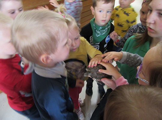 Gr I Wycieczka do Tuchlina