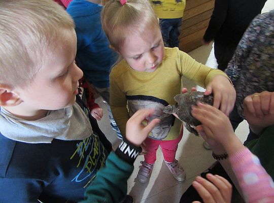 Gr I Wycieczka do Tuchlina