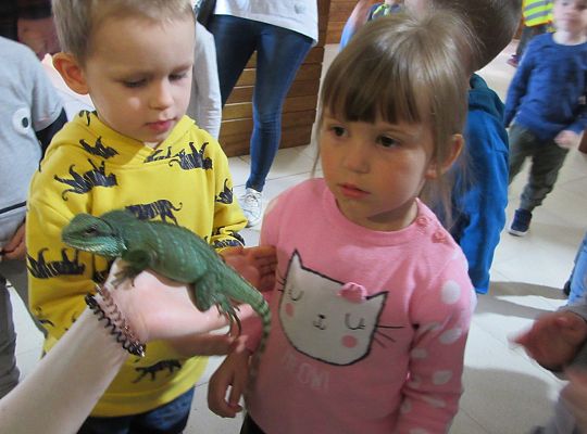 Gr I Wycieczka do Tuchlina