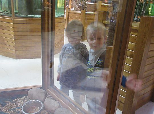 Gr I Wycieczka do Tuchlina