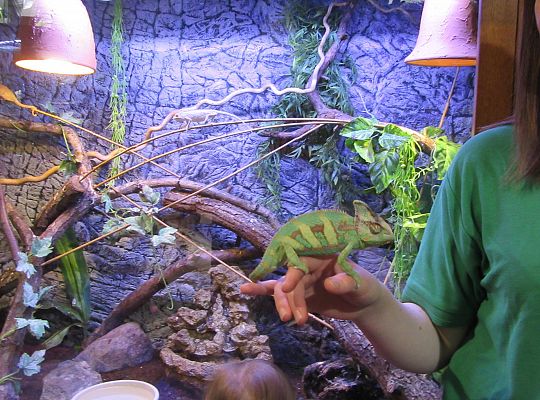 Gr I Wycieczka do Tuchlina