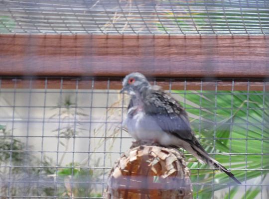 Gr I Wycieczka do Tuchlina