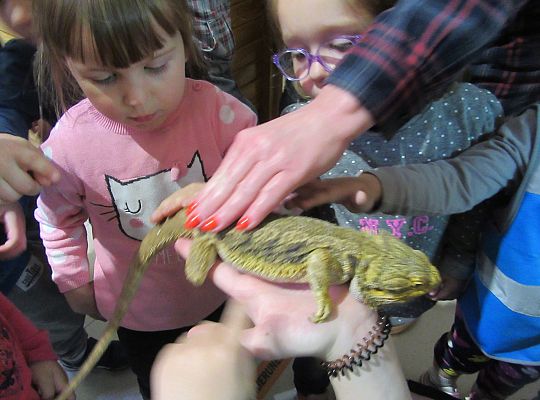 Gr I Wycieczka do Tuchlina