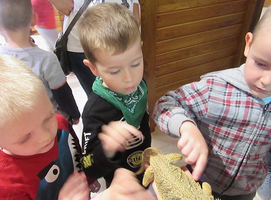 Gr I Wycieczka do Tuchlina