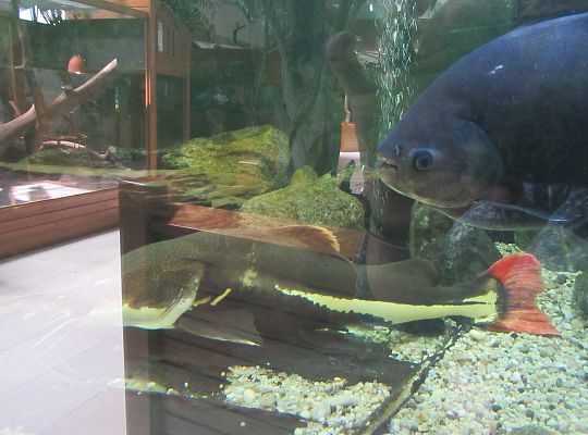 Gr I Wycieczka do Tuchlina