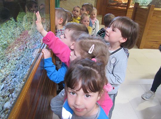 Gr I Wycieczka do Tuchlina