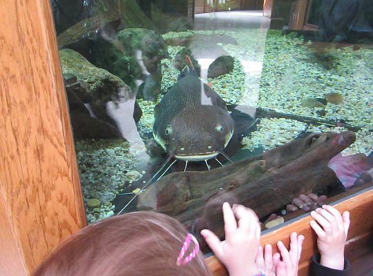 Gr I Wycieczka do Tuchlina